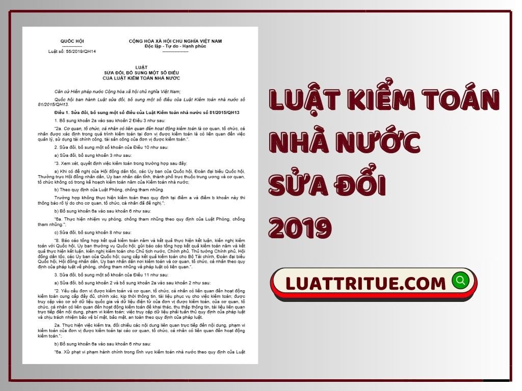 Luật Kiểm toán nhà nước sửa đổi 2019 [Media]