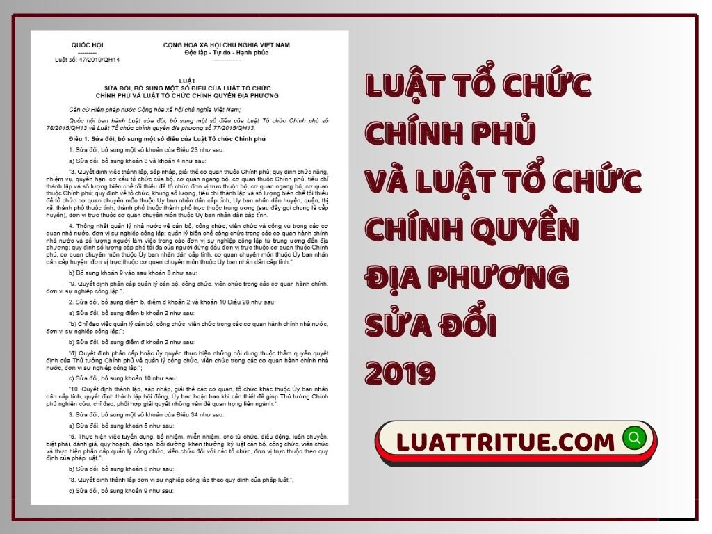 Luật Tổ chức Chính phủ và Luật Tổ chức Chính quyền địa phương sửa đổi 2019 [Media]