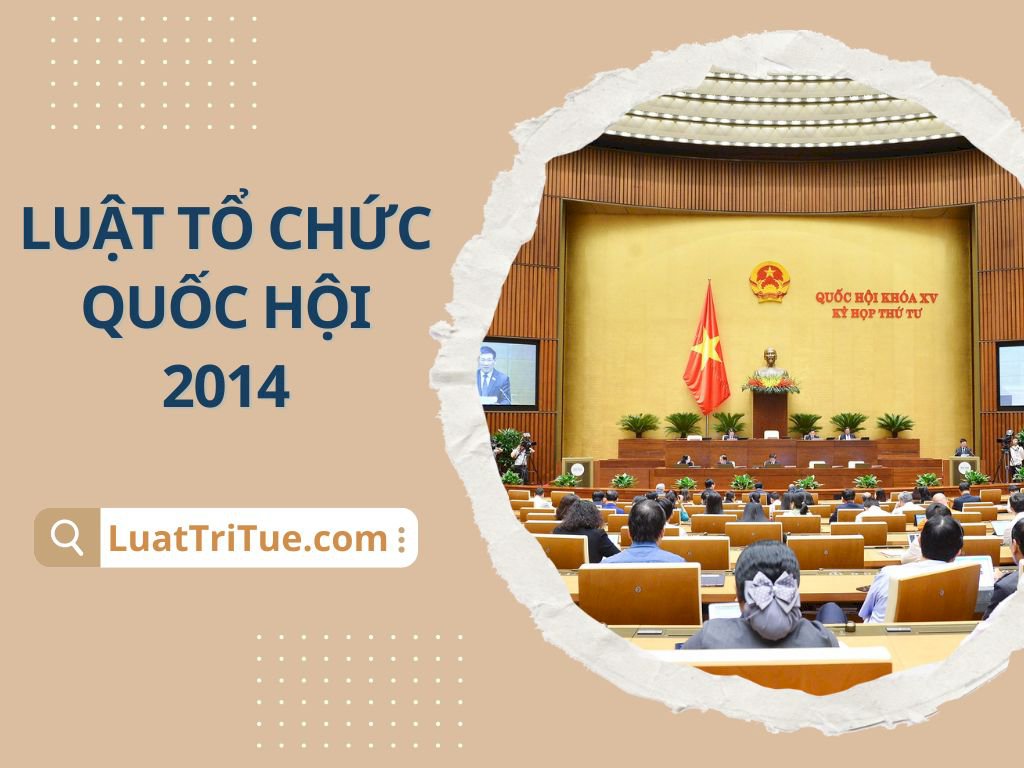 Luật Tổ chức Quốc hội 2014 [Media]