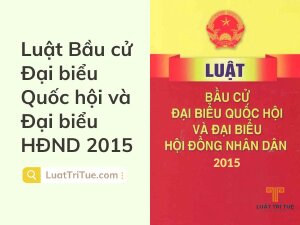 Luật Bầu cử Đại biểu Quốc hội và Đại biểu Hội đồng nhân dân 2015 [Media]