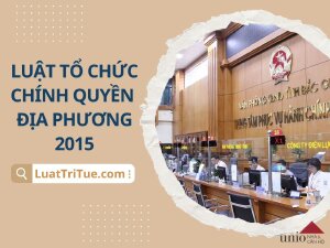Luật Tổ chức Chính quyền địa phương 2015 [Media]