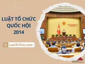 Luật Tổ chức Quốc hội 2014 [Media]