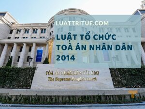 Luật Tổ chức Tòa án Nhân dân 2014 [Media]