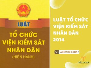 Luật Tổ chức Viện kiểm sát nhân dân 2014 [Media]